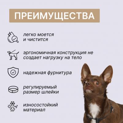 Шлейка Step-in Downtown XS–S: 10mmx30-40cm черный с бежевым – фото 3