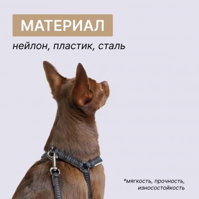 Шлейка Step-in Downtown XS–S: 10mmx30-40cm черный с бежевым – фото 5