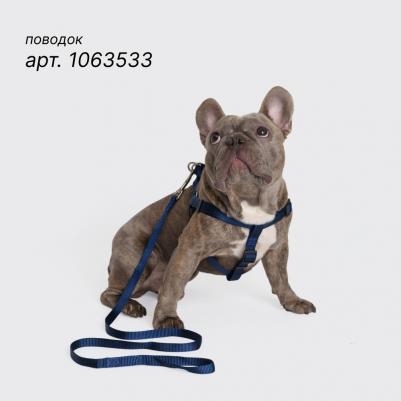 Шлейка Step-in нейлон 20мм/54-78см синий – фото 1