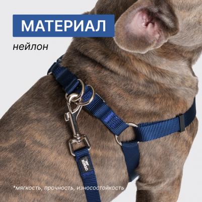 Шлейка Step-in нейлон 20мм/54-78см синий – фото 5