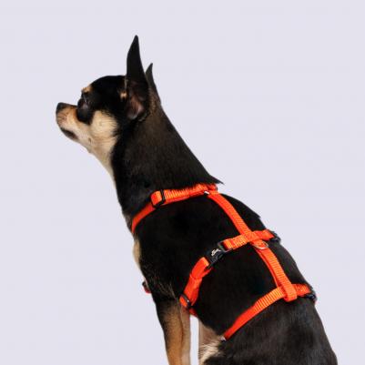 Шлейка Vario Soft Fix 10mmx20-35cm папайя – фото 5