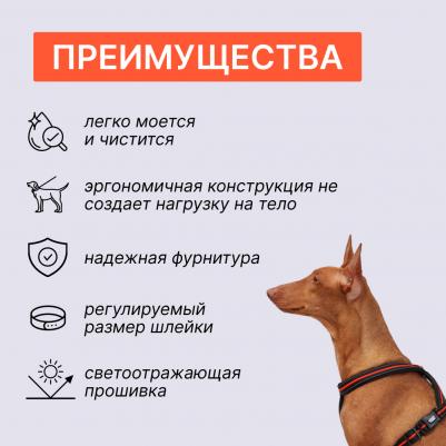 Шлейка X-shape M–L: 50–80 cm/23mm черный с оранжевым – фото 2