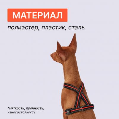 Шлейка X-shape M–L: 50–80 cm/23mm черный с оранжевым – фото 5