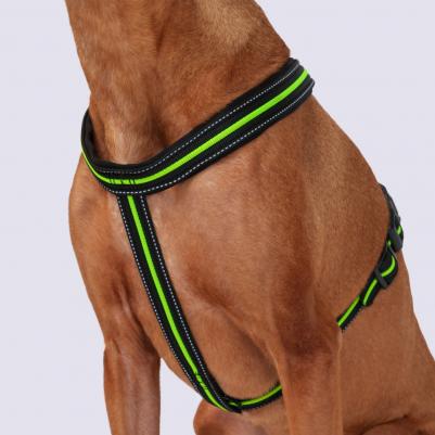 Шлейка X-shape S: 35–50 cm/23mm черный с зеленым – фото 7