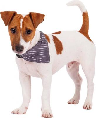 Ошейник c банданой для собак Relax, S, обхват шеи 44 см, ширина 1,5 см, серый