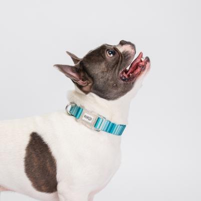 Ошейник для собак и кошек, обхват шеи 45 см, ширина 2 см, голубой – фото 3