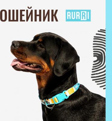 Ошейник Саванна 25mm*40-63cm – фото 5