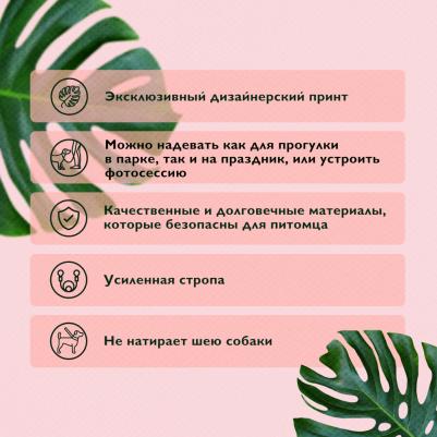 Поводок для собак Urban Forest, 10 мм, 120 см – фото 2