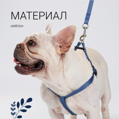 Поводок нейлоновый для собак и кошек Синяя чешуя, 1,5х120 см – фото 3