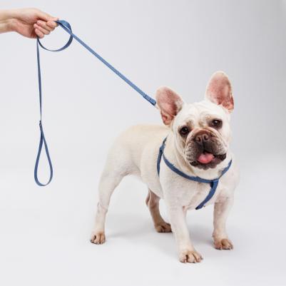 Поводок нейлоновый для собак и кошек Синяя чешуя, 1,5х120 см