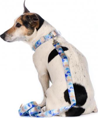 Поводок серо-голубой L 2,5x120см Save-the-planet – фото 1