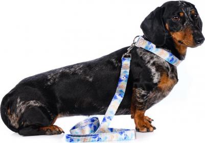 Поводок серо-голубой L 2,5x120см Save-the-planet – фото 3