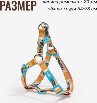 Шлейка Step-in Саванна 20mm X 54-78cm – фото 1