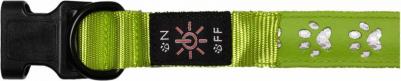 Ошейник для собак Нокко, зеленый, L – фото 1