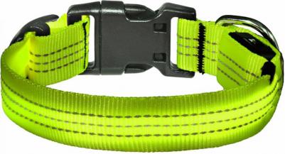 Светодиодный ошейник Барри, зелёный S – фото 1