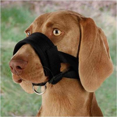 Намордник для собак MUZZLE LOOP, нейлон, черный, L, обхват морды 18-30 см – фото 2