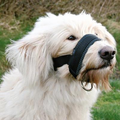 Намордник для собак MUZZLE LOOP, нейлон, черный, L, обхват морды 18-30 см – фото 5