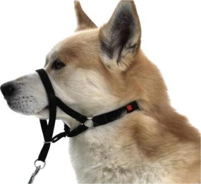 Намордник тренировочный, L, 31 см, (длина поводка 50-57 см.) – фото 1