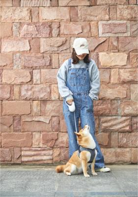 Поводок-рулетка Petkit Go free, белый, 4.5м – фото 2