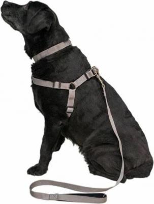 амуниция Поводок Сити стальной 10мм*120см 99ред99 021710сталь 0,02 кг 33699 – фото 1