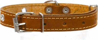 Ошейник для собак безразмерный – фото 2