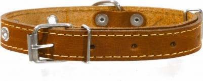 Ошейник для собак, черный, 14 мм, 34 см – фото 1