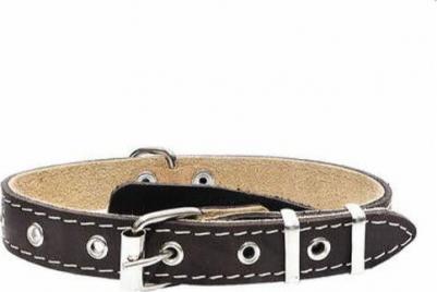 Ошейник для собак, черный, 15 мм, 22-35 см