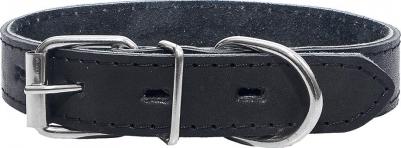 Ошейник для собак, черный, 25 мм, 29-39 см – фото 1