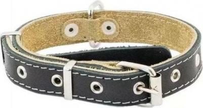 Ошейник для собак, черный, 25 мм, 30-45 см