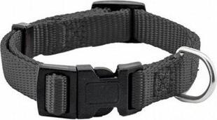 Ошейник для собак Сити, черный, 15 мм, 25-35 см – фото 2