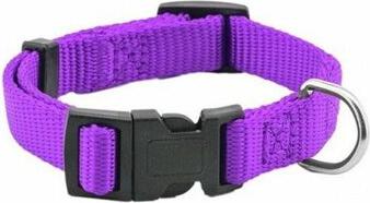 Ошейник для собак Сити фиолетовый 30-43 см – фото 1
