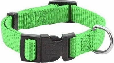 Ошейник для собак Сити салатовый 45-65 см – фото 1