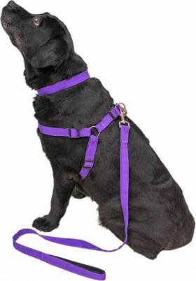 Поводок для собак Сити фиолетовый 1,2 м – фото 1