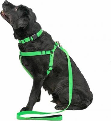 Поводок для собак Сити салатовый № 3 1,2 м – фото 1