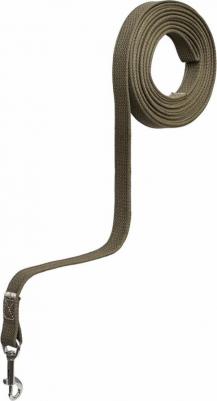 Поводок универсальный для собак, брезент, в ассортименте, 2 см, длина 5м