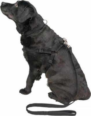 Шлейка для собак L, полипропилен, металл, черный – фото 1