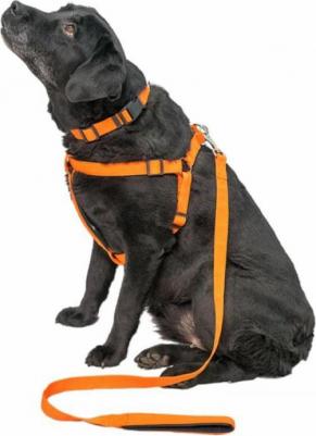 Шлейка для собак XS, полипропилен, пластик, металл, оранжевый – фото 1