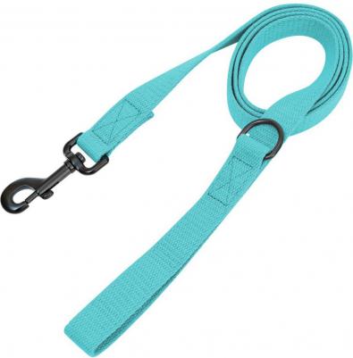 Поводок для прогулок брезент бирюзовый, 25 мм х 2 м – фото 2