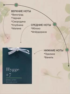 Аромасаше, 10 г, Hygge Виноград мускат, АР 100-186 – фото 1