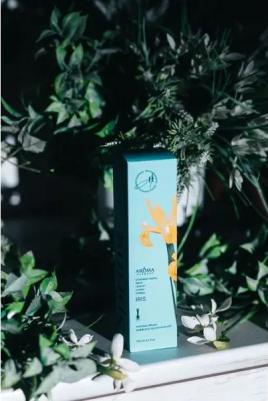 Диффузор ароматический Iris весна 100 мл – фото 6