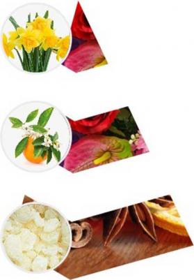 Ароматический диффузор Нарцисс, нероли и мускус – фото 1