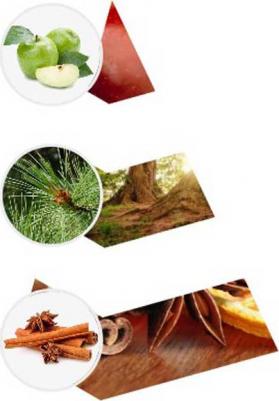 Ароматический диффузор Яблочный пирог, корица и кедр – фото 6