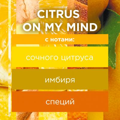 Освежитель воздуха 4620000434542 – фото 1