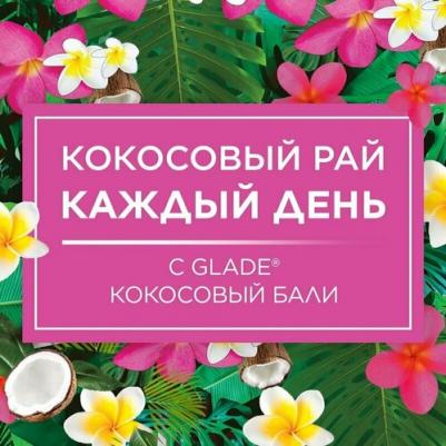 Освежитель воздуха Кокосовый Бали аэрозоль 300 мл – фото 8