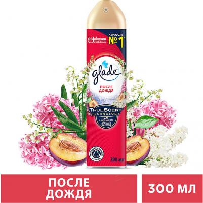 Освежитель воздуха После дождя, 300 мл 4620000433569 – фото 6