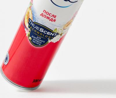Освежитель воздуха После дождя, 300 мл 4620000433569 – фото 15