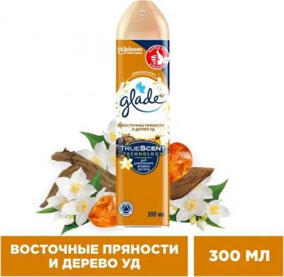 Освежитель воздуха "Восточные пряности и дерево уд", аэрозоль, 300 мл – фото 8