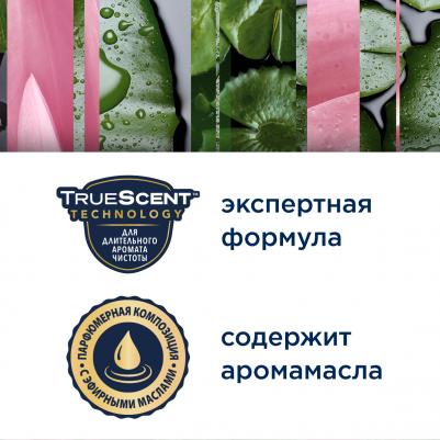 Освежитель воздуха "Японский сад", автоматический, сменный баллон, 269 мл – фото 13