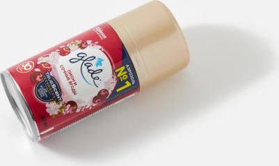 Сменный баллон для автоматического освежителя воздуха 4620000433675 – фото 5