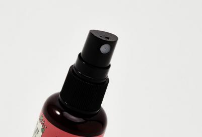 Освежитель воздуха Туалетный спрей IX 50.0 – фото 2